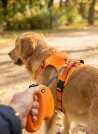 Bark & Bristle™ | 2-in-1 No-Pull Safety Harness (Built-in Leash)
