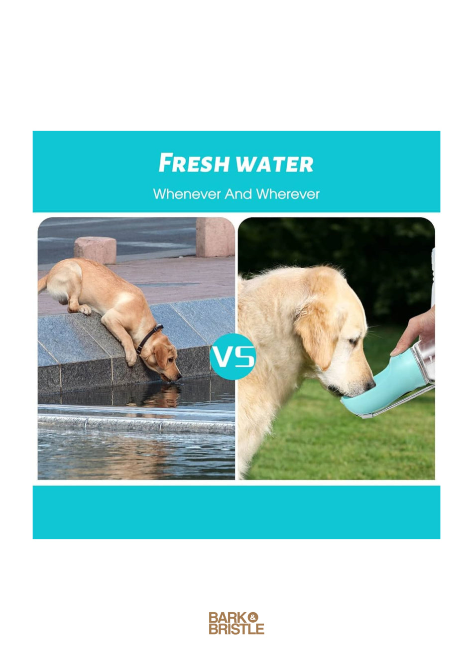 Comparison of a dog drinking water from a pool versus a bottle, with 'Barko Bristle' branding.