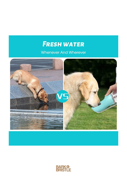 Comparison of a dog drinking water from a pool versus a bottle, with 'Barko Bristle' branding.