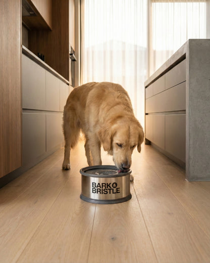 Bark & Bristle™ | Stainless Steel Hygienic Water Licker