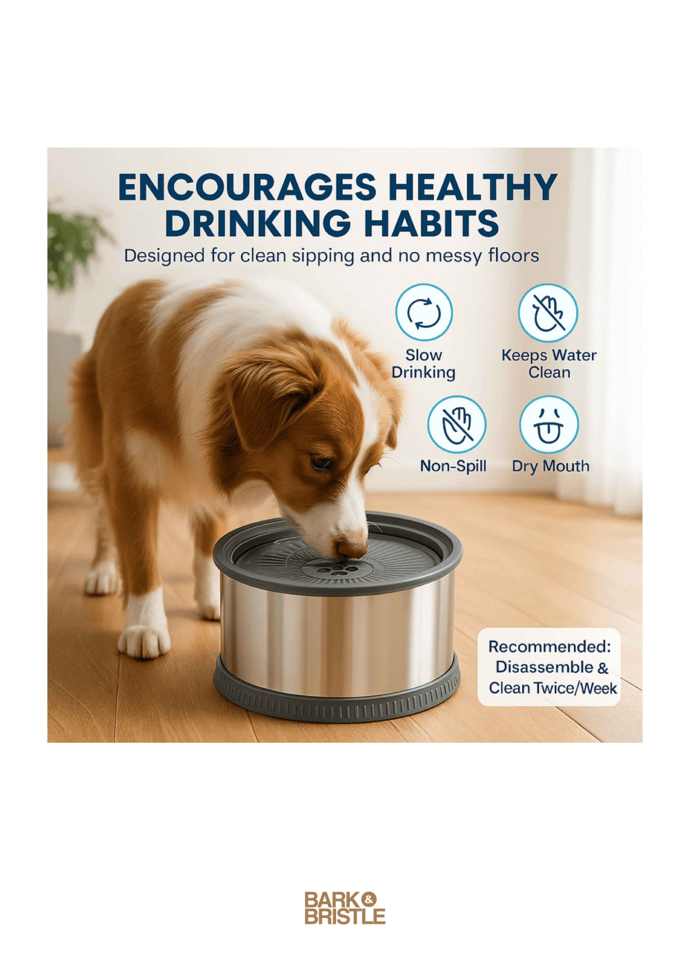 Bark & Bristle™ | Stainless Steel Hygienic Water Licker